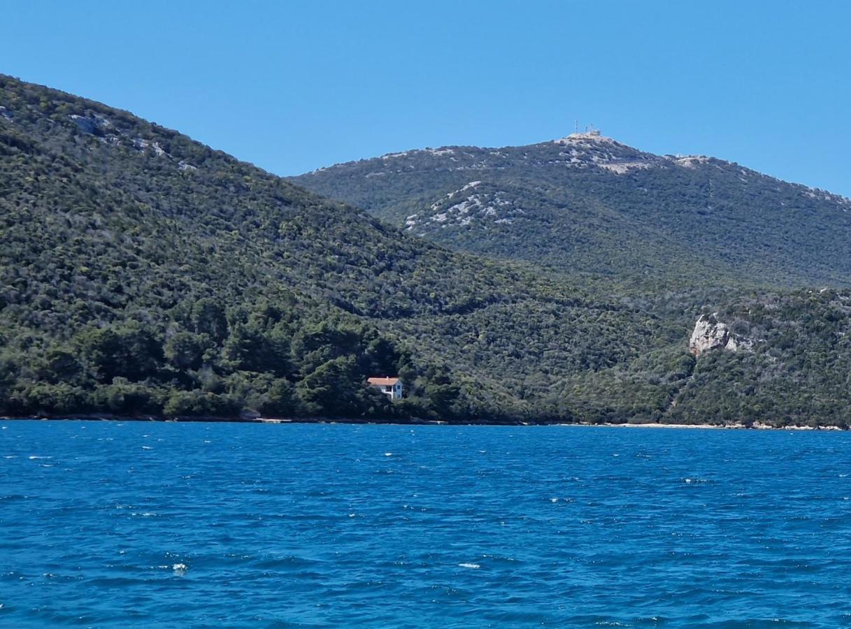 Hidden Pearl Daire Luka  Dış mekan fotoğraf